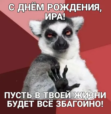 Открытка \"С днём рождения\" мем дом престарелых в крафтовом конверте купить  по цене 59 ₽ в интернет-магазине KazanExpress
