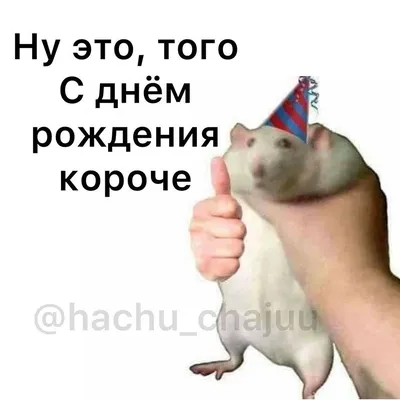 С днем рождения, Таня. - Coub - The Biggest Video Meme Platform