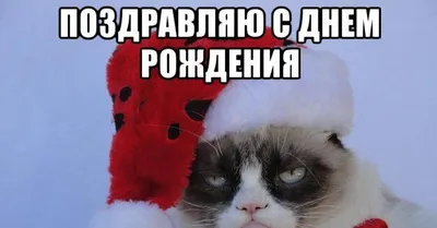 с днем рождения | С днем рождения, Рождение, Праздничные плакаты