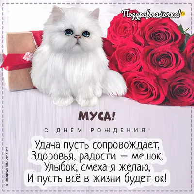 🎂Торты на заказ 🎂Москва on Instagram: \"С днём рождения Муса🎉🎁\"