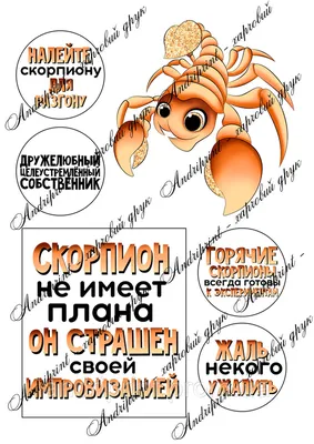 Торты Скорпион 21 фото с ценами скидками и доставкой в Москве