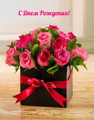 Открытка - нежные цветы и кошечка на День рождения дорогой сестре