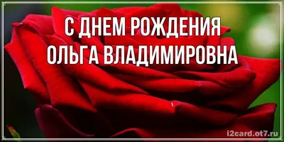 Ольга Владимировна Петрова, с днем рождения! — Вопрос №476632 на форуме —  Бухонлайн