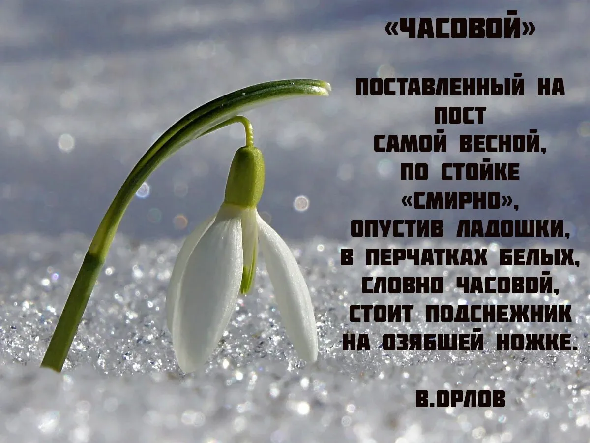 Подснежники открыточки