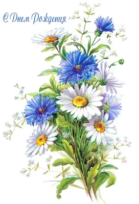Букет Полевые цветы» с ирисами, альстромериями и хризантемами - купить в  Красногорске за 6 260 руб