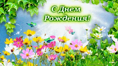 Большая открытка с днём рождения Букет полевых цветов – заказать на Ярмарке  Мастеров – LQKKGBY | Открытки, Москва