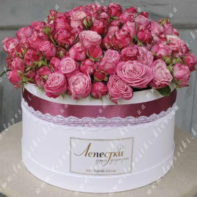 Букет Вайт_Дебют: 25 розовых роз в шляпной коробке с доставкой в  Новосибирске. Служба доставки цветов и подарков - FLO365