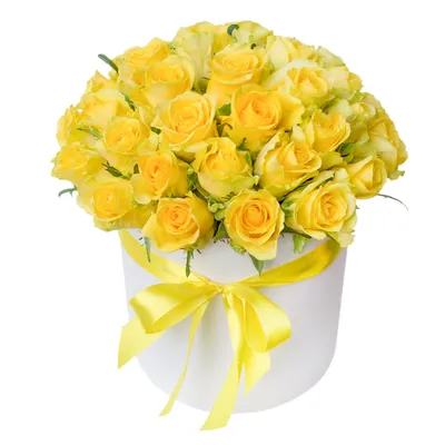 Розы Эквадор в белой шляпной коробке (25 шт) за 7398р. Позиция № 1024