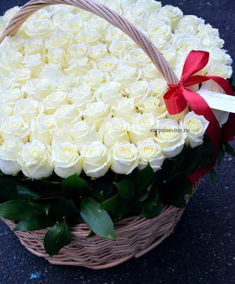 Букет белых роз с днем рождения - красивые фото