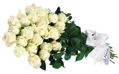 Открытки с белыми розами открытка прекрасному человеку с букетом бе...
