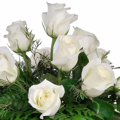 С днем рождения женщине белые цветы - фото и картинки abrakadabra.fun