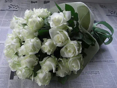 Букет из 35 белых роз 50 см (Россия) купить в СПб в интернет-магазине  Семицветик✿
