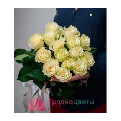 Открытка с именем Оля С днем рождения белые розы и зеленые листья. Открытки  на каждый день с именами и пожеланиями.