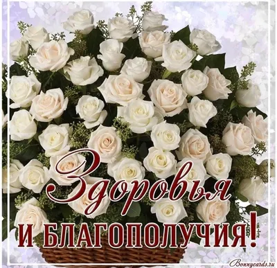 Купить Букет из белых гвоздик, роз и хризантемы в Москве недорого с  доставкой