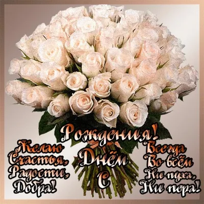 Открытка с именем Светлана С днем рождения белые розы на день рождения.  Открытки на каждый день с именами и пожеланиями.