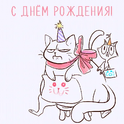 jerric_08.08 у него сегодня день рождение 😽😽 #кот#деньрождение#Коты... |  TikTok