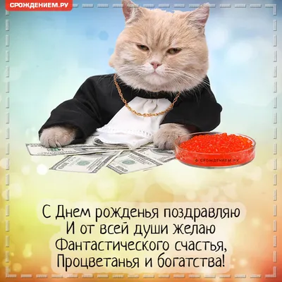 Смешная открытка с Днём Рождения с котом, деньгами и красной икрой • Аудио  от Путина, голосовые, музыкальные