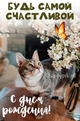 Красивые открытки и картинки с котиками. Поздравить с Днем рождения. С  приколом с Дне рождения скачать