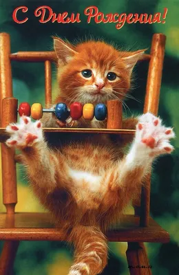 Рисунок котик с тортиком - 71 фото