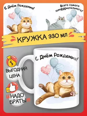 Открытки прикол с юмором с днем рождения для девушки, подруге в конверте  купить по цене 60 ₽ в интернет-магазине KazanExpress
