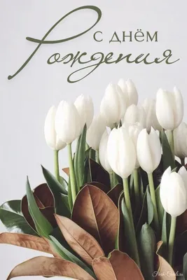 С днём рождения с поздравительной открыткой и розами — Скачайте на Davno.ru