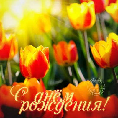 Картинка для красивого поздравления с Днём Рождения Виктории - С любовью,  Mine-Chips.ru