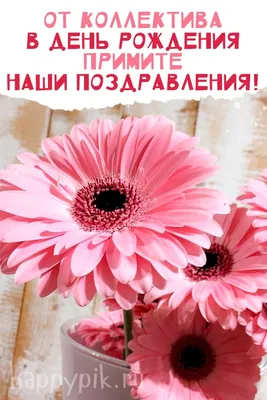 Поздравить с днём рождения картинкой со словами сотрудницу женщину - С  любовью, Mine-Chips.ru