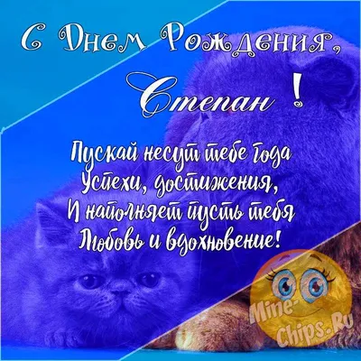 Подарить прикольную открытку с днём рождения Степану онлайн - С любовью,  Mine-Chips.ru