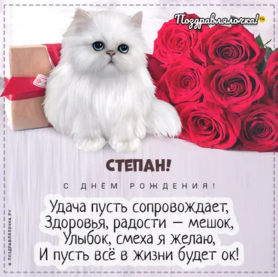 С Днем рождения, Степан Грымзин!
