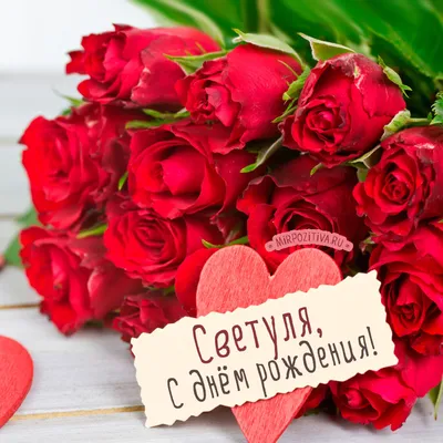 поздравление_света_с_днём_рождения #деньрождения #светаДР #сднюхойсв... |  TikTok