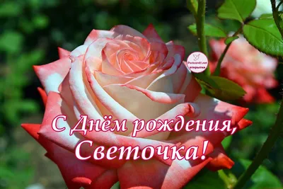 💐Светлана Анатольевна! С Днём Рождения! 8А класс, родители и классный  руководитель Галина Юрьевна желают Вам.. | ВКонтакте