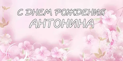 С Днём рождения тебя Антонина !!!! - 62 ответа - Курилка - Форум Авто  Mail.ru