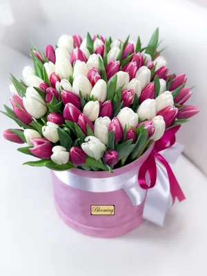Букет тюльпанов картинки с днем рождения - 64 фото