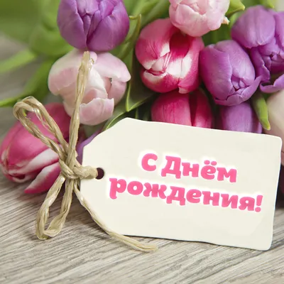 Красные тюльпаны - с днём рождения! — Скачайте на Davno.ru