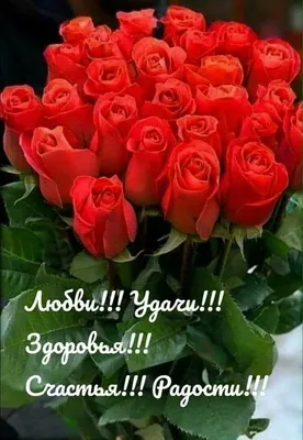 Pin by Лёля Galustyan on Добра и счастья | Happy birthday flower, Happy  birthday pictures, Birthday wishes flowers