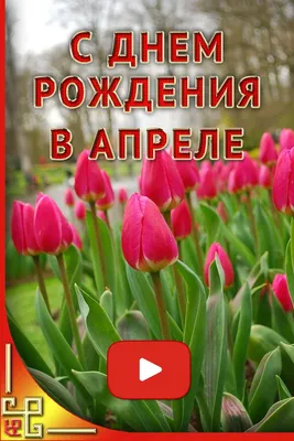 Поздравления с Днем рождения своими словами 3 апреля - Телеграф