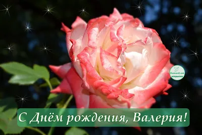 Подарить прикольную открытку с днём рождения Валерии онлайн - С любовью,  Mine-Chips.ru