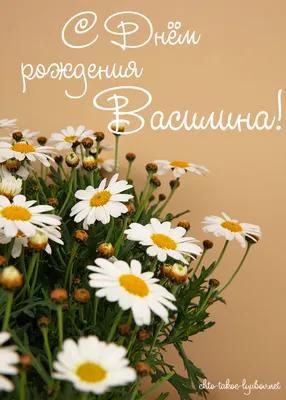 Дорогая Василина!!! Поздравляем тебя с днём рождения!!! Желаем крепкого  здоровья, счастья, радости, успехов и удачи!!! | ВКонтакте