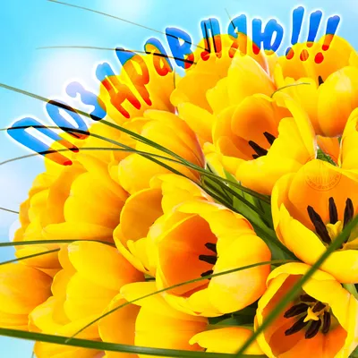 Букет желтые тюльпаны - купить с доставкой в Железнодорожном. Цена от 3 932  руб., фото, отзывы - zheleznodorozhny.florrus.ru