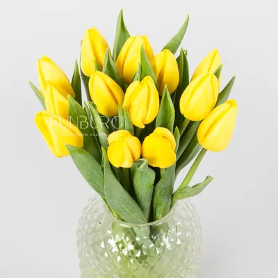 Желтые тюльпаны T-3 купить по цене 2500.00 руб. с доставкой по Туле –  интернет-магазин «Расцветочка»