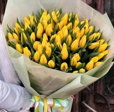 Открытки с днем рождения желтые цветы - 67 фото