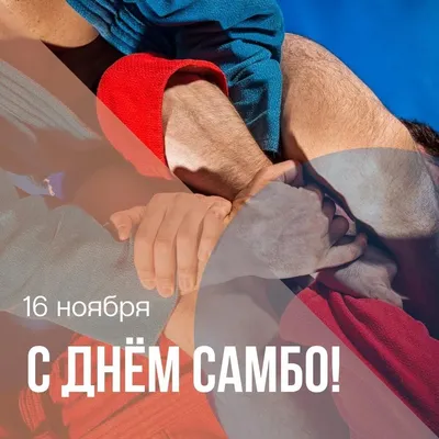 Всех самбистов с праздником Всероссийским днем самбо: прикольные картинки и  задорные стихи 16 ноября