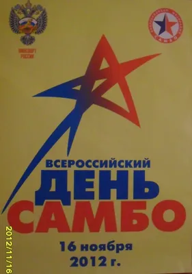 В России 16 ноября отмечают Всероссийский день самбо