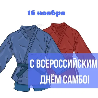 16 ноября отмечают Всероссийский день самбо! - Центр спортивной подготовки