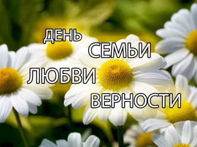 Лучшие поздравления для любимых людей в честь Дня семьи, любви и верности -  ПитерБургер.ru