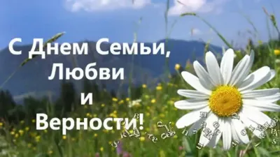 С Днём семьи, любви и верности! | «Сельский Восход» — актуальные новости  Измалковского района