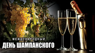 4 августа 2020 · Сегодня – День рождения шампанского. Пейте на здоровье! ·  Общество · ИСККРА - Информационный сайт «Кольский край»