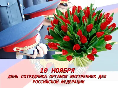 Поздравление Владимира Колокольцева с Днем сотрудника органов внутренних дел