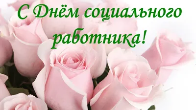 Поздравления с Днём социального работника продолжаются – Новости – Окружное  управление социального развития (городских округов Королев и Мытищи)