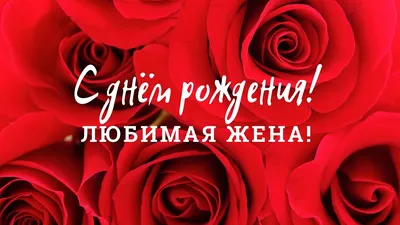 Открытка Мужу от Жены с Днём святого Валентина, с котиком • Аудио от  Путина, голосовые, музыкальные